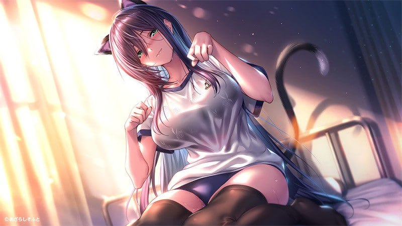 [大型拔作ADV/纯爱/PC] 【甜蜜女友2】+ アマカノ2＋精翻汉化+特典+全CG存档 