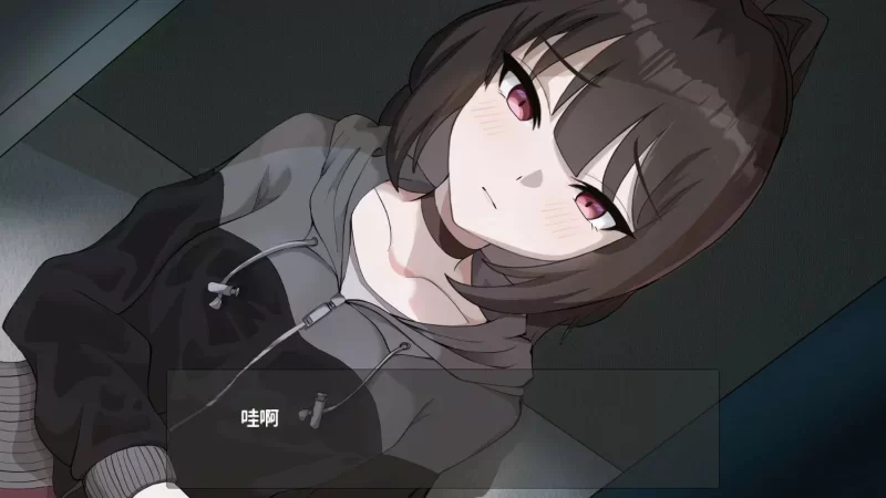 【PC/SLG】 [SLG/官方中文] 我这个身负债务地狱的人拾起了一个听话的离家出走的JK [655M]